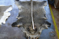 Wildschweinfelle