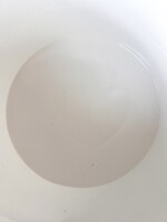 Multifunktionsleim 500g Dispersions-Kleber