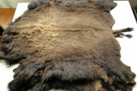 Bisonfelle